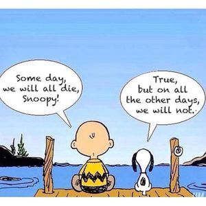 Meet your Posher, Pat